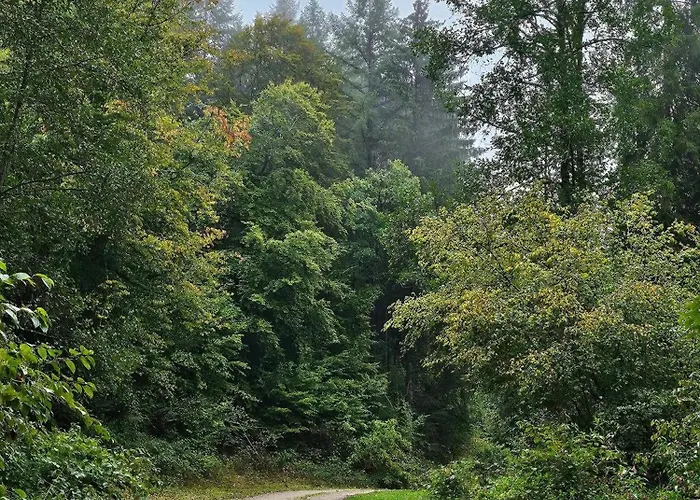 Maison Familiale Avec Sauna A *